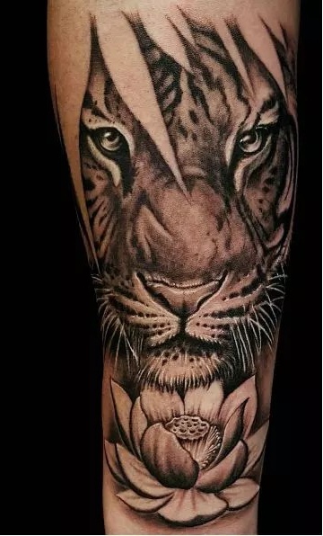 Tatuagens-de-Tigre-1 