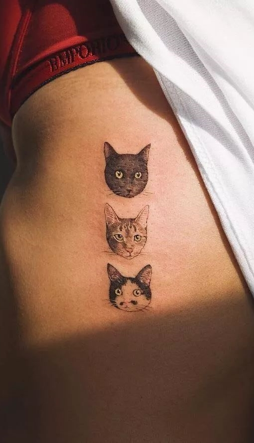 As 100 Melhores Tatuagens de Gatos da Top