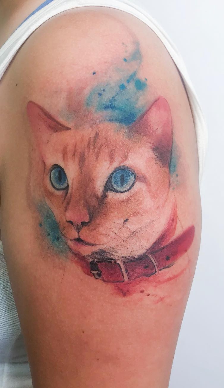 Tatuagens-de-gatos-em-aquarela-8 