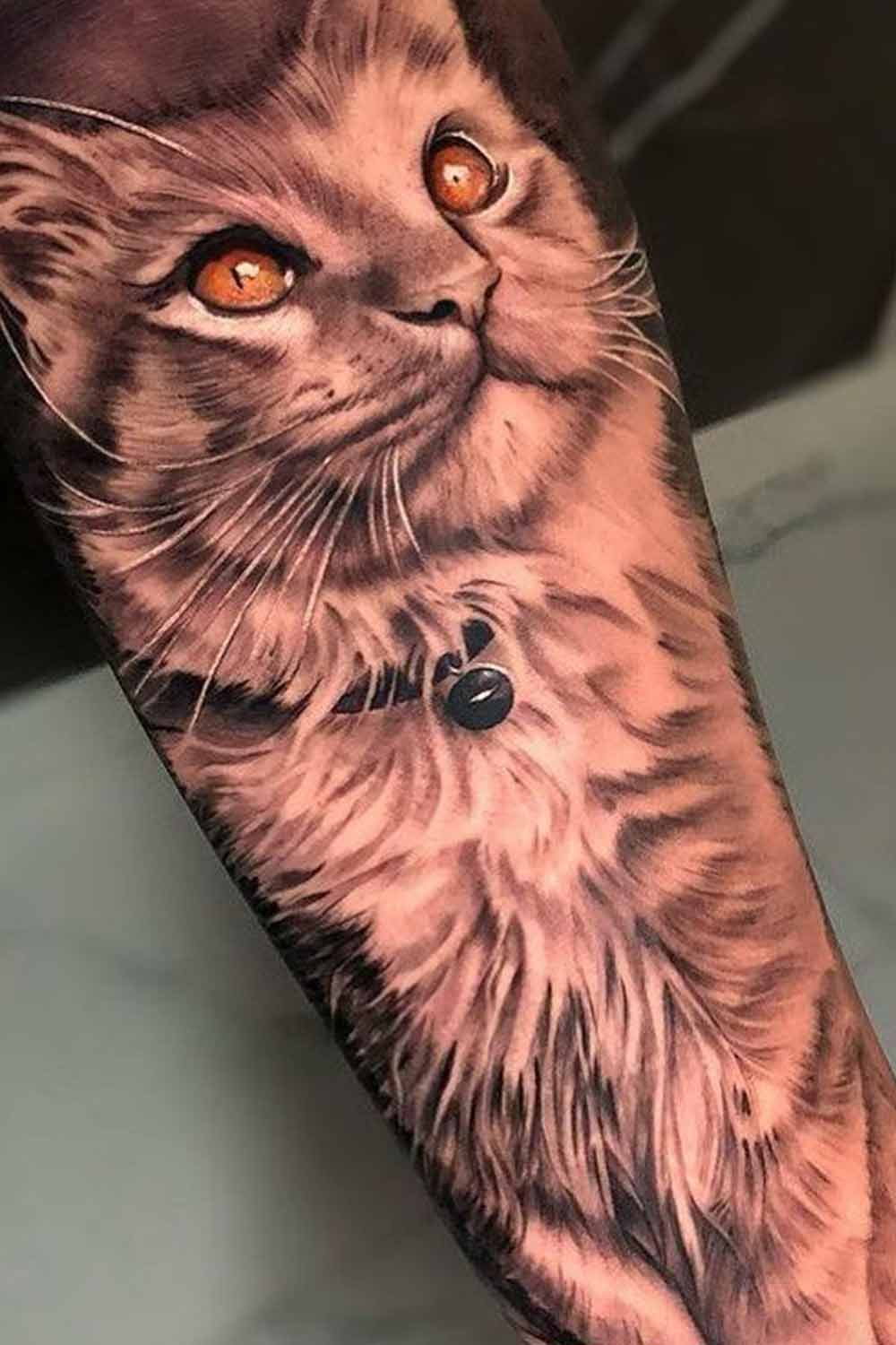 tatuagem-de-gato-realista 