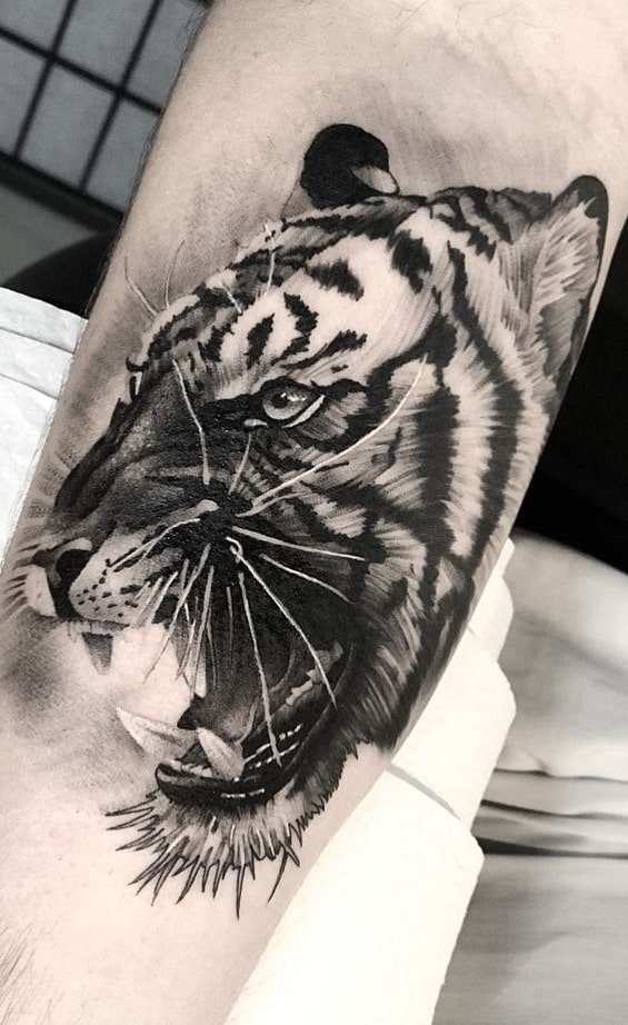 inspirações-fotos-de-tatuagens-de-tigre-1 